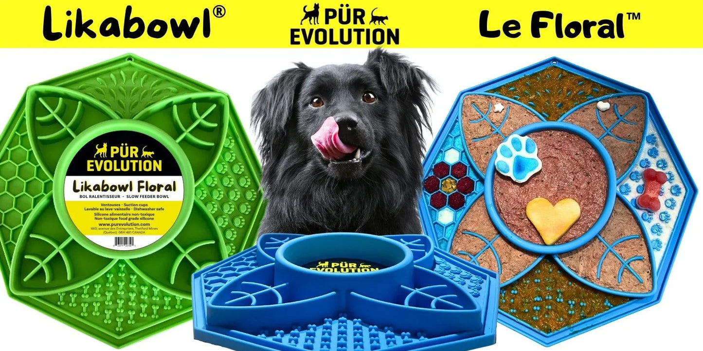 Likabowl by Pur Evolution