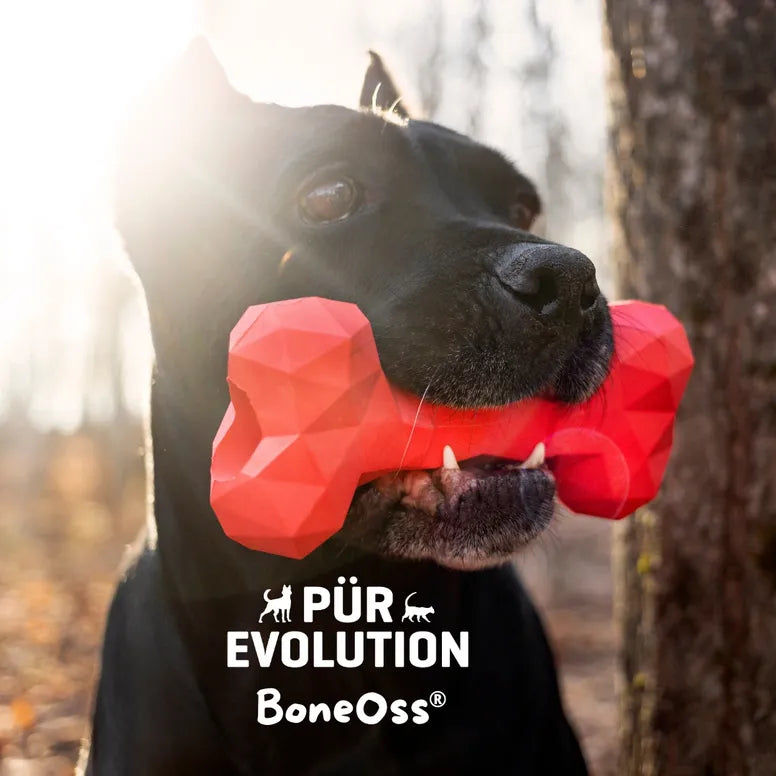 BoneOss® Zircon™ dog stuffing treat toy