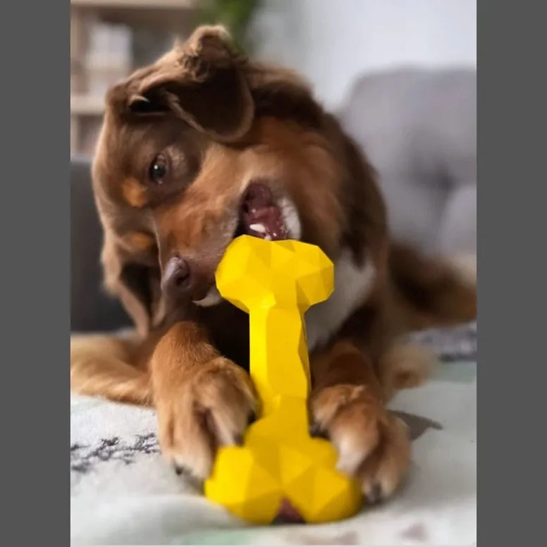 BoneOss® Zircon™ dog stuffing treat toy