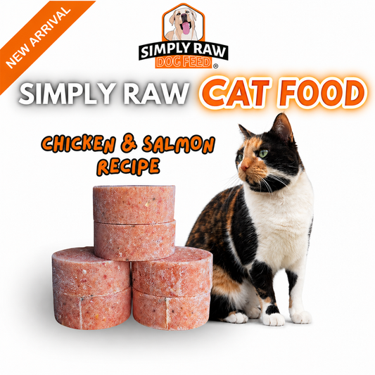 Simply Cat