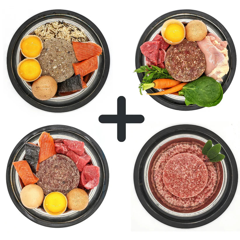 Downing Box Sampler Simply Raw - Sampler Box #1 – Southshore Raw Co