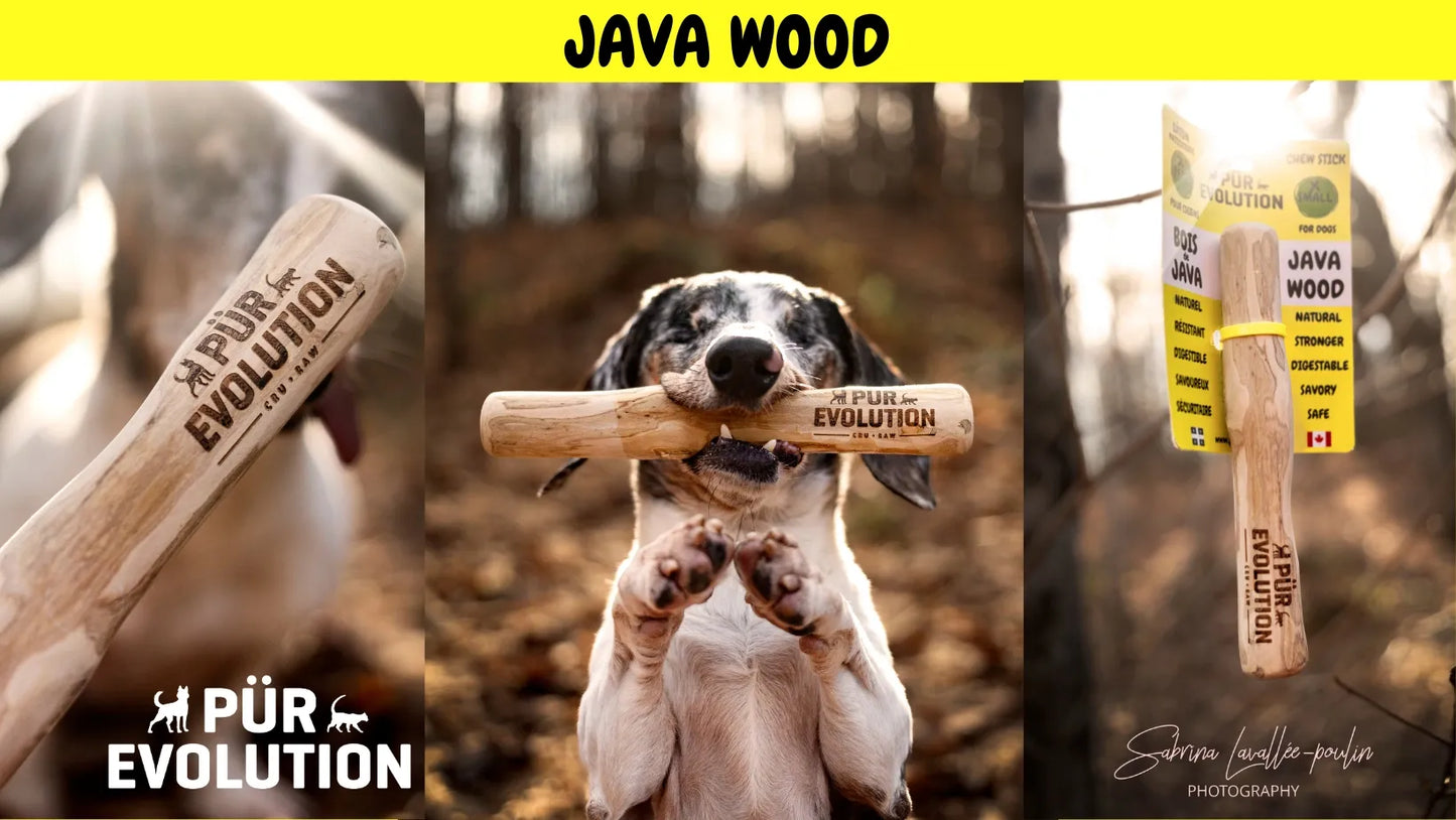Java Wood